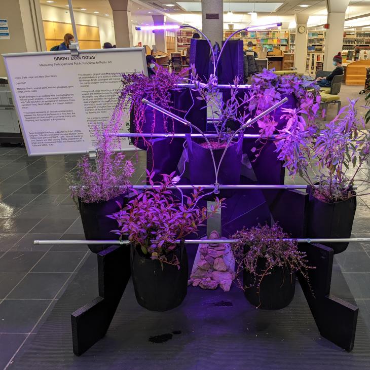 Bright Ecologies: Measuring Participant and Public Response to Public Art