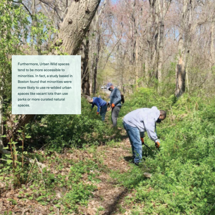 Photo of three people bending down in wooded area with text box superimposed with indecipherable text
