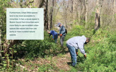 Photo of three people bending down in wooded area with text box superimposed with indecipherable text