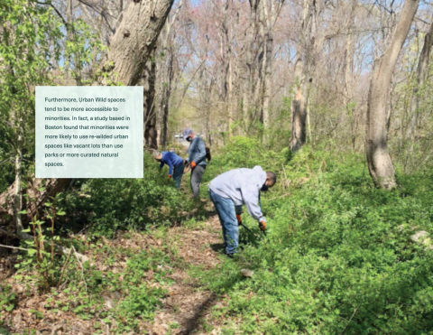 Photo of three people bending down in wooded area with text box superimposed with indecipherable text