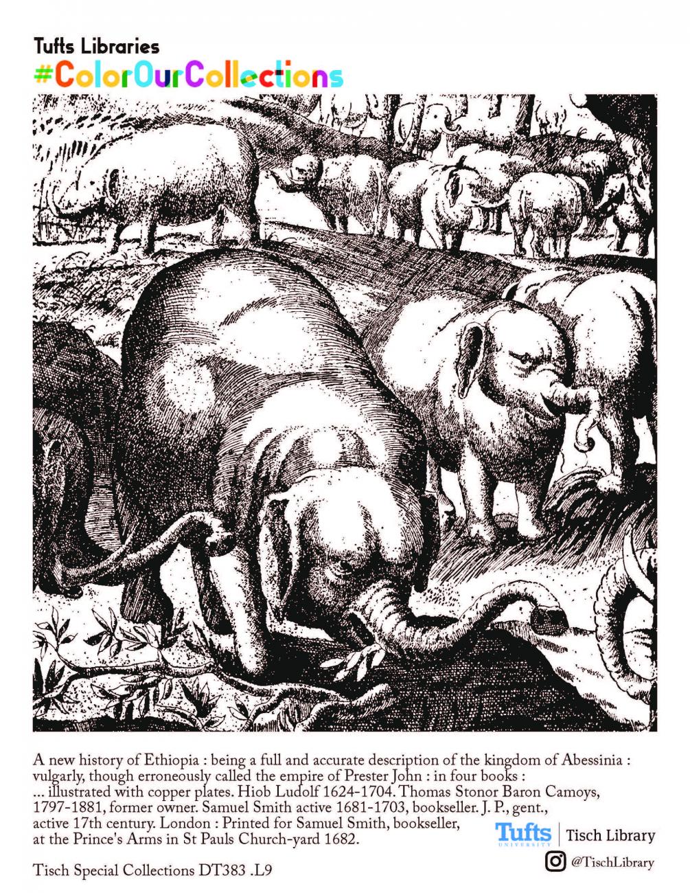 Page from the coloring book with a b&w illustration of elephants
