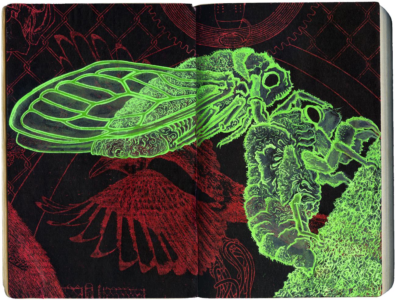 Artwork inside the pages of a book with a black and red background and neon green cicadas