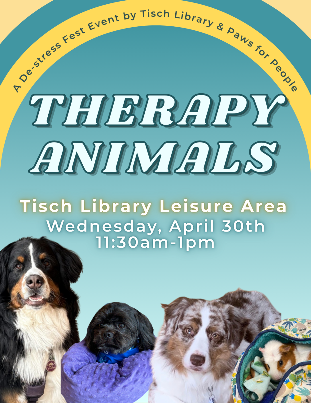 A De-stress Fest Event by Tisch Library & Paws for People; THERAPY ANIMALS; Tisch Library Leisure Areas; Wednesday, April 30th; 11:30am-1pm. The first line of text arches over a yellow arch, outlined by teal. A teal arch covers the background below with the text in front of it. At the bottom of the arch, a Bernes Mountain Dog, a Shih Tzu, an Australian Shepherd, and a guinea pig sit together.