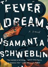 Cover of Fever dream : a novel