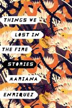 Cover of Things we lost in the fire : stories