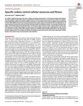 First page of article Specific codons control cellular resources and fitness